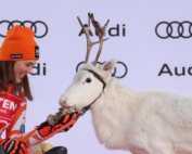 LEVI,FINLAND,11.NOV.23 - ALPINE SKIING - FIS World Cup, slalom, ladies. Image shows Petra Vlhova (SVK) and a reindeer. Photo: GEPA pictures/ Harald Steiner
