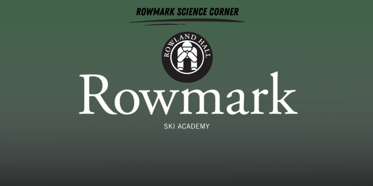 How Off-Season Strength Training Builds Better Skiers How Off-Season Strength Training Builds Better Skiers